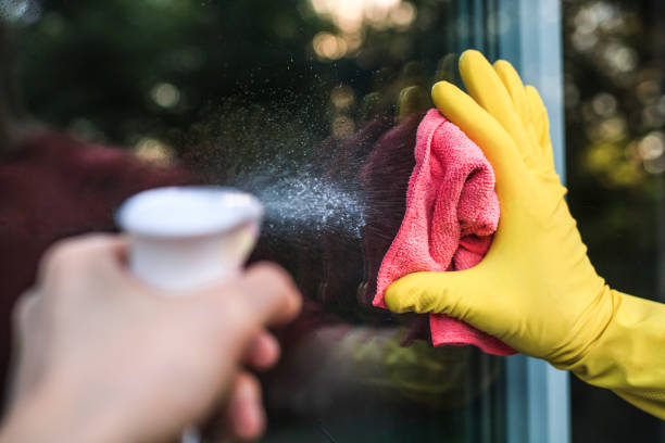 A guide to washing windows with vinegar